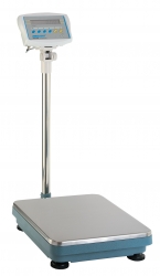 CFW Check Weighing Floor Scales
